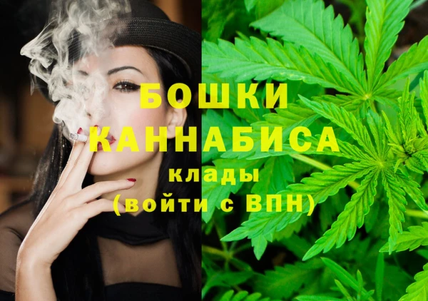 PSILOCYBIN Абаза