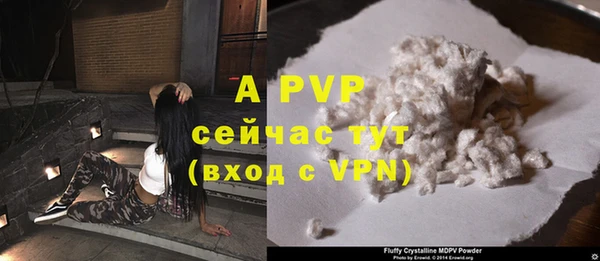 PSILOCYBIN Абаза
