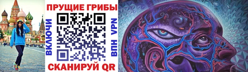 купить  сайты  Ирбит  Псилоцибиновые грибы прущие грибы 