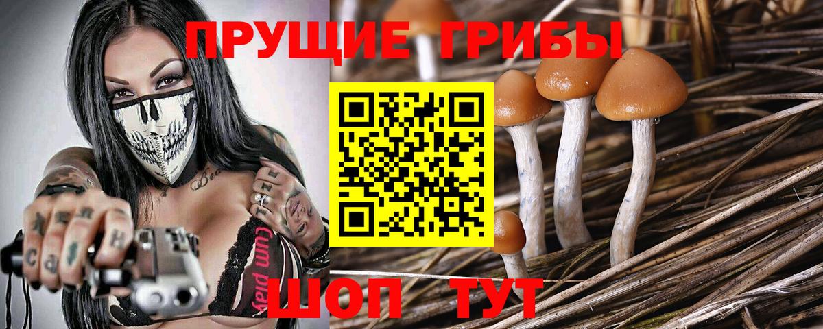 Галлюциногенные грибы мицелий  Вход с VPN  Псилоцибиновые грибы мицелий  Ирбит 